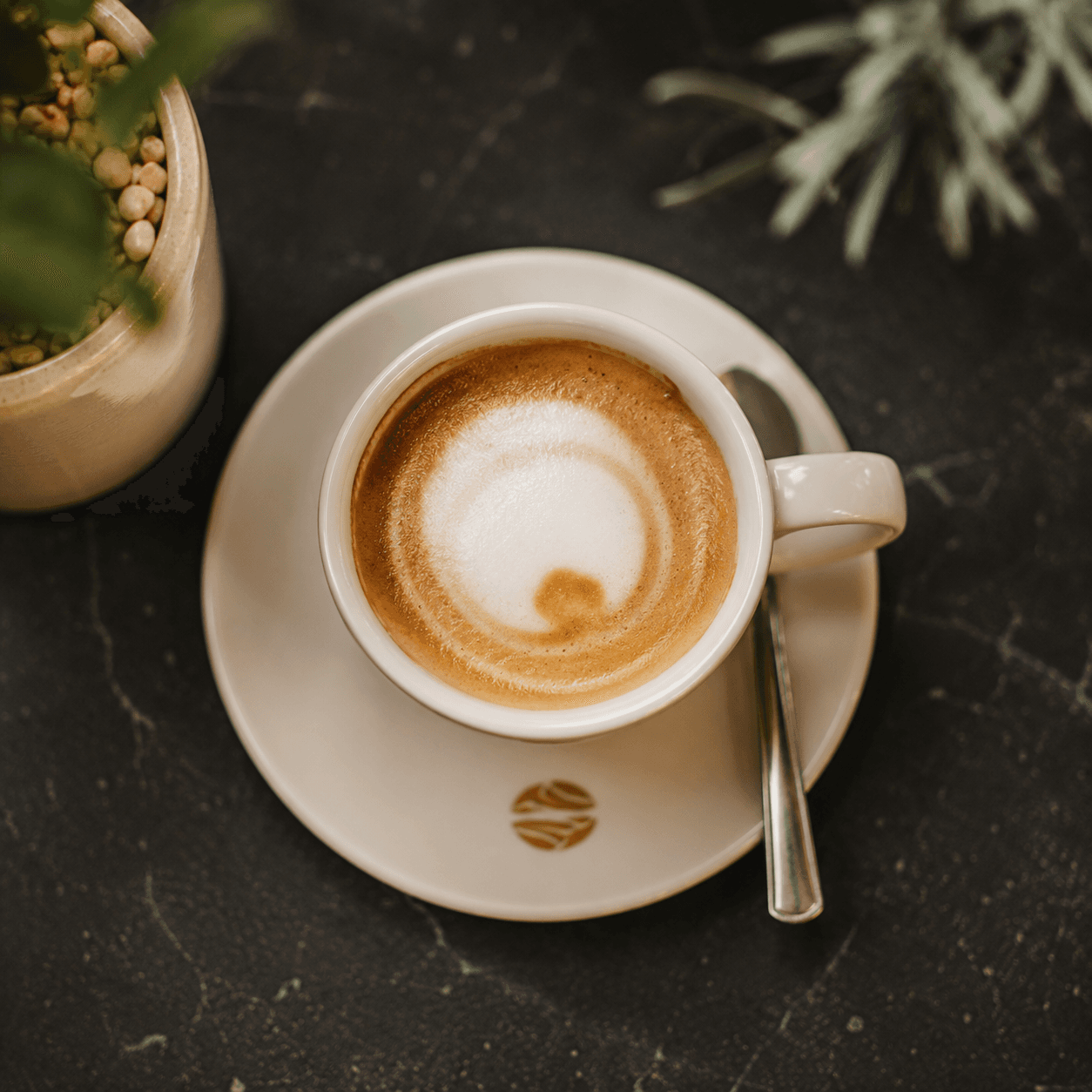 Macchiato (P)